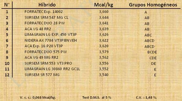 Aptitud Forrajera- Evaluación de híbridos de maíz.- Campaña 2016 – 2017. Determinación del rendimiento y la calidad de la materia seca. - Image 14
