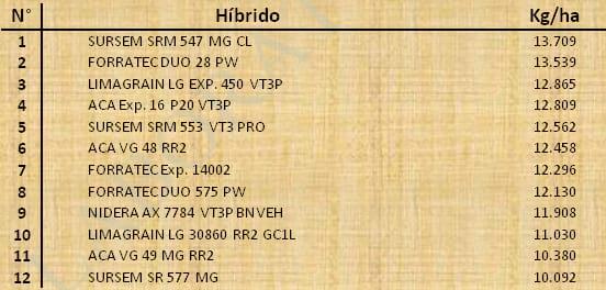 Aptitud Forrajera- Evaluación de híbridos de maíz.- Campaña 2016 – 2017. Determinación del rendimiento y la calidad de la materia seca. - Image 134