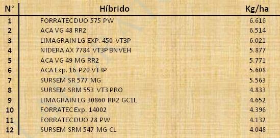 Aptitud Forrajera- Evaluación de híbridos de maíz.- Campaña 2016 – 2017. Determinación del rendimiento y la calidad de la materia seca. - Image 101