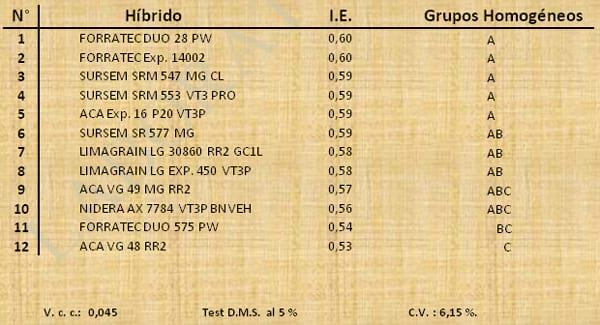Aptitud Forrajera- Evaluación de híbridos de maíz.- Campaña 2016 – 2017. Determinación del rendimiento y la calidad de la materia seca. - Image 8