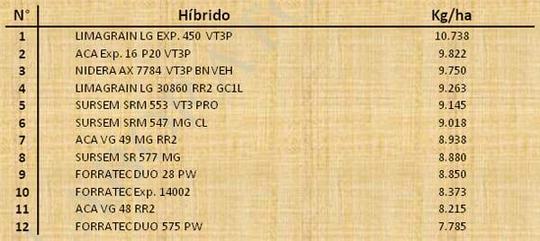 Aptitud Forrajera- Evaluación de híbridos de maíz.- Campaña 2016 – 2017. Determinación del rendimiento y la calidad de la materia seca. - Image 34
