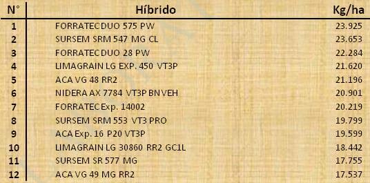 Aptitud Forrajera- Evaluación de híbridos de maíz.- Campaña 2016 – 2017. Determinación del rendimiento y la calidad de la materia seca. - Image 136