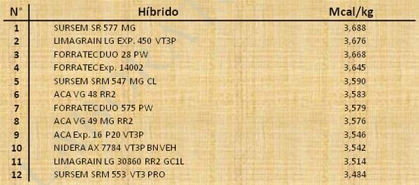Aptitud Forrajera- Evaluación de híbridos de maíz.- Campaña 2016 – 2017. Determinación del rendimiento y la calidad de la materia seca. - Image 41