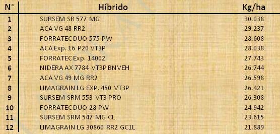 Aptitud Forrajera- Evaluación de híbridos de maíz.- Campaña 2016 – 2017. Determinación del rendimiento y la calidad de la materia seca. - Image 86