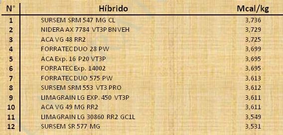Aptitud Forrajera- Evaluación de híbridos de maíz.- Campaña 2016 – 2017. Determinación del rendimiento y la calidad de la materia seca. - Image 66