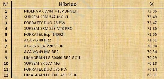 Aptitud Forrajera- Evaluación de híbridos de maíz.- Campaña 2016 – 2017. Determinación del rendimiento y la calidad de la materia seca. - Image 76