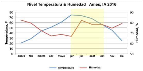 Recomendaciones de verano para cerdos en crecimiento - Image 1