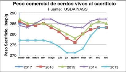 Recomendaciones de verano para cerdos en crecimiento - Image 2