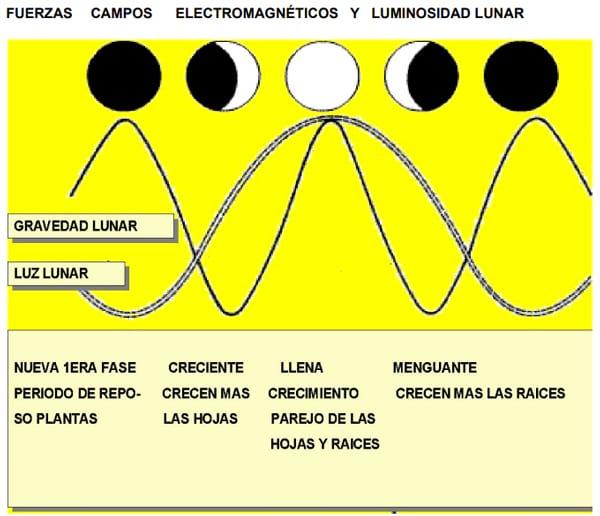 Explicación e indicaciones de uso para el calendario lunar agrícola - Image 2