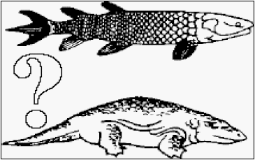 El origen de las aves, Primera parte. (Artículo de Opinión Nº 82, Julio 31-2017) - Image 1