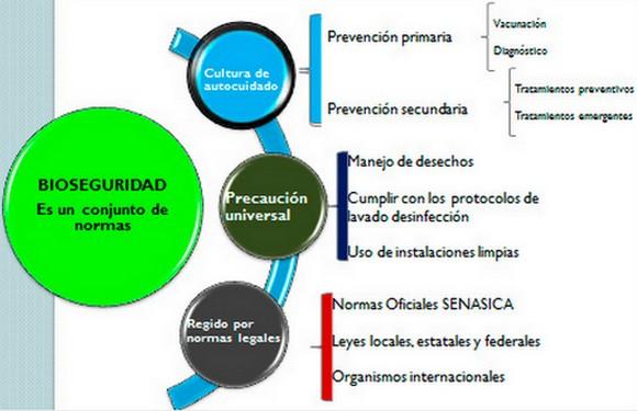 El Paradigma de la Bioseguridad - Image 1