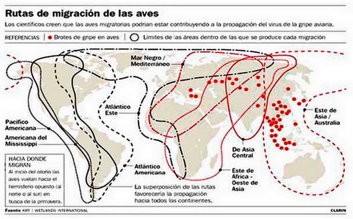 El Paradigma de la Bioseguridad - Image 2