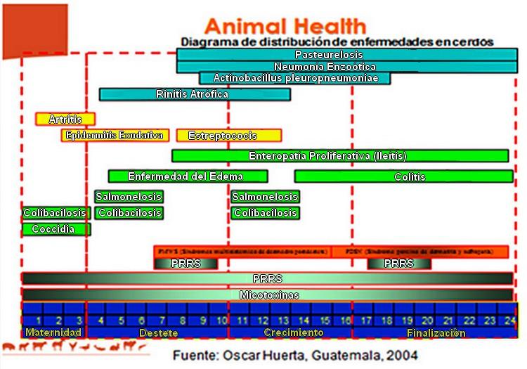 El Paradigma de la Bioseguridad - Image 7