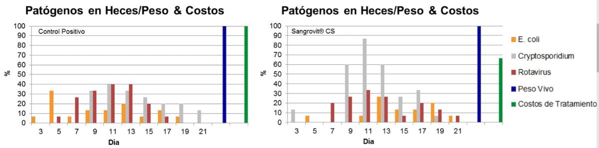 Criptosporidiosis– Impacto y Prevención - Image 2