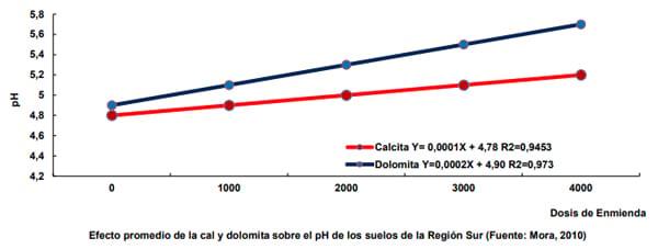 ¿Qué efecto tiene la aplicación de enmiendas calcáreas en pasturas? - Image 2