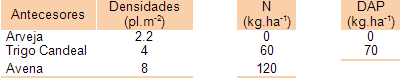 Aproximación a la fertilización en maíz de segunda - Image 1