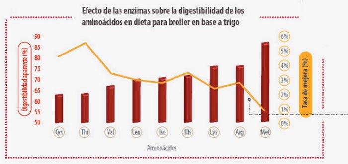 Mejorando la digestibilidad en aves con la suplementación de enzimas - Image 3