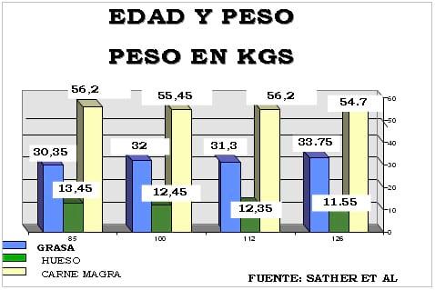 Factores que afectan el rendimiento en carne de los cerdos - Image 1
