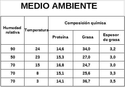 Factores que afectan el rendimiento en carne de los cerdos - Image 6