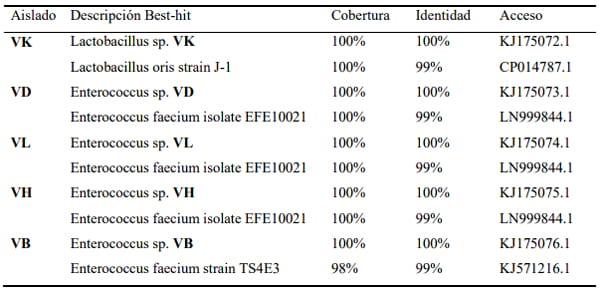 Dinámica poblacional y aislamiento de bacterias ácido lácticas en lactosuero fermentado - Image 3