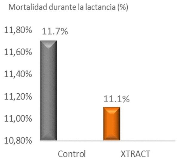 Impulsar la transferencia inmunológica de la cerda a los lechones: la Importancia de la Calidad del Calostro. - Image 4