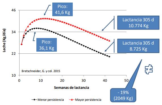 Lactancia: Pico y Persistencia ¿Por qué cuidarlos? - Image 1