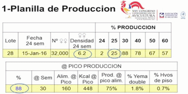 Análisis de Datos Técnicos para Toma de Decisiones Económicas - Image 4