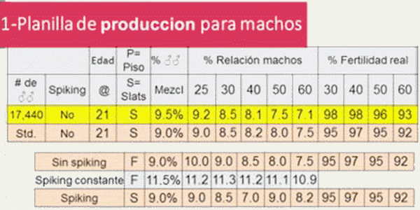 Análisis de Datos Técnicos para Toma de Decisiones Económicas - Image 10