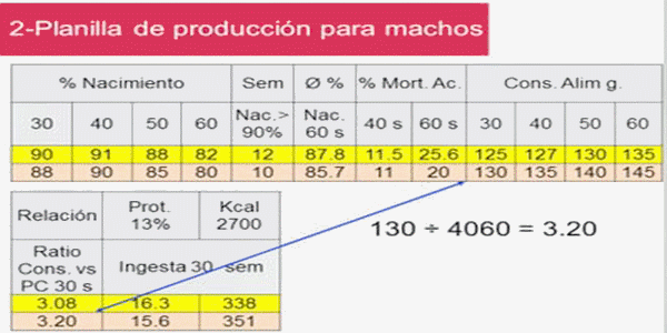 Análisis de Datos Técnicos para Toma de Decisiones Económicas - Image 11