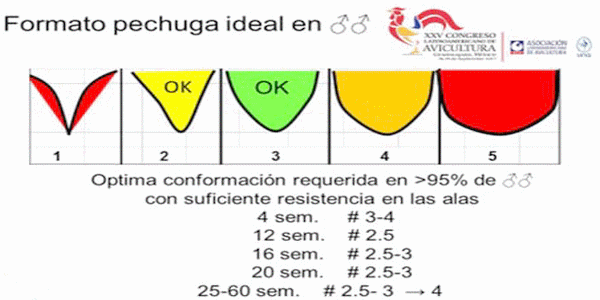 Análisis de Datos Técnicos para Toma de Decisiones Económicas - Image 12