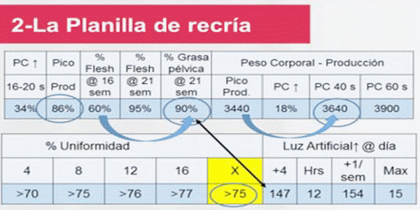 Análisis de Datos Técnicos para Toma de Decisiones Económicas - Image 2