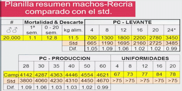 Análisis de Datos Técnicos para Toma de Decisiones Económicas - Image 9