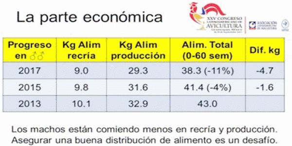 Análisis de Datos Técnicos para Toma de Decisiones Económicas - Image 13