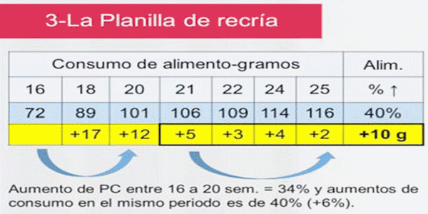 Análisis de Datos Técnicos para Toma de Decisiones Económicas - Image 3