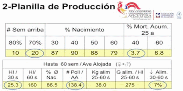 Análisis de Datos Técnicos para Toma de Decisiones Económicas - Image 5