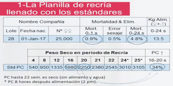 Análisis de Datos Técnicos para Toma de Decisiones Económicas - Image 1