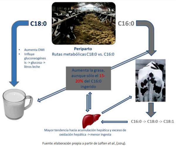 ¿C16:0, C18:0 o combinación de ambos? - Image 1