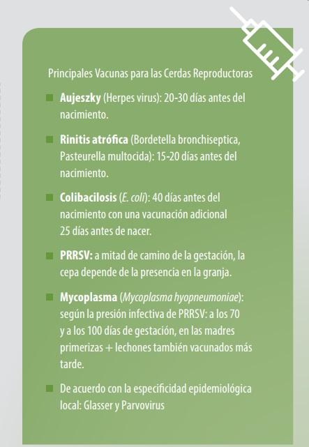 Calidad del Calostro: Clave para la Transferencia de Inmunidad - Image 2