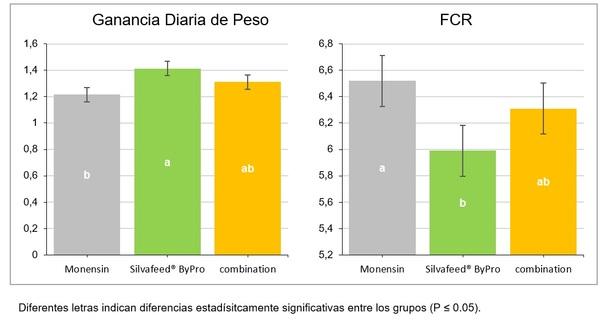 Mejora del rendimiento del Ganado Vacuno con Silvafeed® ByPro - Image 2