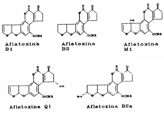 La aflatoxicosis: Un problema a resolver dentro de la Medicina Veterinaria - Image 1