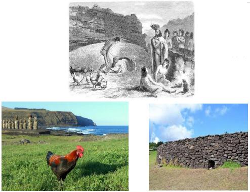 Origen de las aves, Cuarta Parte: Cómo llegó la gallina al continente americano - Image 5