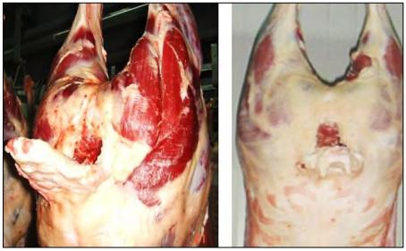 Características fisicoquímicas, sensoriales y microbiológicas de la carne de ovino con diferente tiempo de reposo - Image 1