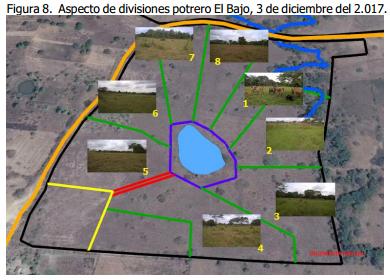 Implementación de rotación de potreros - Image 12