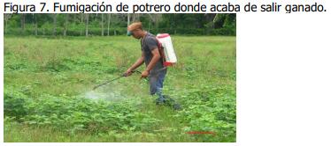 Implementación de rotación de potreros - Image 7
