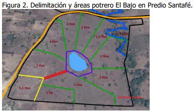 Implementación de rotación de potreros - Image 2