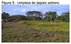Implementación de rotación de potreros - Image 13