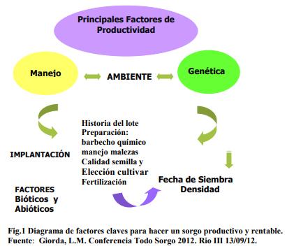 Nuevos desarrollos: variedades e híbridos forrajeros - Image 3