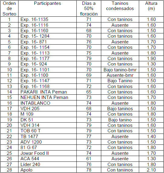 Evaluación de híbridos y variedades de sorgo para la Inscripción en el Registro Nacional de Cultivares del INASE- Campaña 2016/17. - Image 14