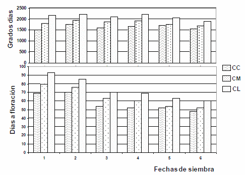 Evaluación de híbridos y variedades de sorgo para la Inscripción en el Registro Nacional de Cultivares del INASE- Campaña 2016/17. - Image 11