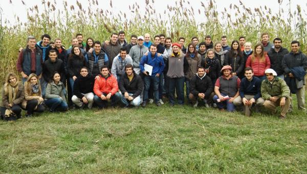 Variedades de sorgo para cada utilización y su manejo - Image 2